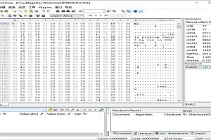 Hex Workshop-中文破解版